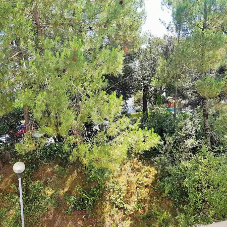 2 Pieces A 300m De La Avec Balcon Ensoleille A - Fr-1-550-48 סן-ז'ורז'-דה-דידון