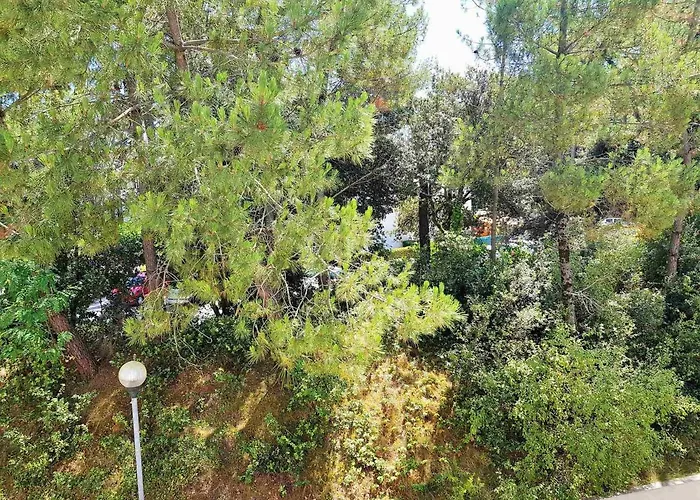 2 Pièces à 300m De La Avec Balcon Ensoleillé à - Fr-1-550-48 Saint-Georges-de-Didonne